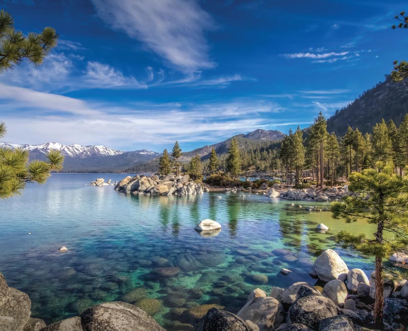 Vector Smart Object-4